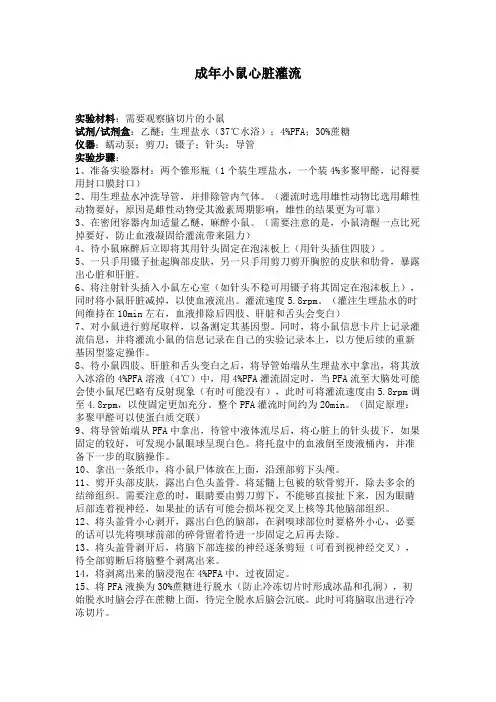 成年小鼠心脏灌流