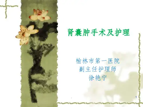 肾囊肿手术及护理.11PPT课件