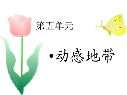 初中蝴蝶飞音乐课件