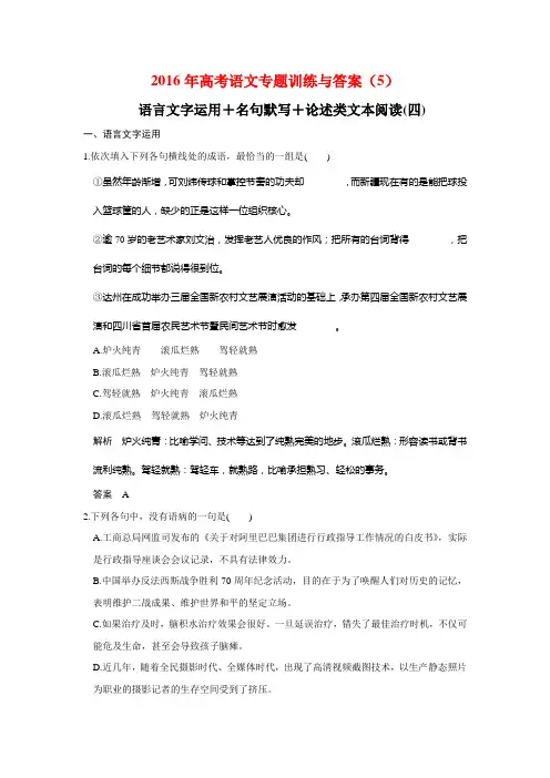 2016年高考语文专题训练与答案 (5)