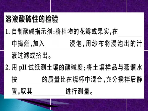 实验活动7 溶液酸碱性的检验