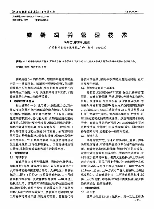 雏鹅饲养管理技术