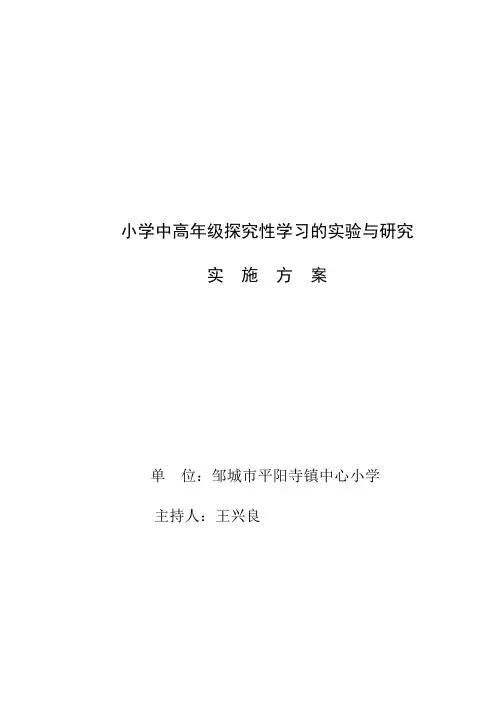 小学中高年级探究性学习实施方案