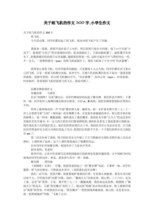 关于纸飞机的作文300字_小学生作文