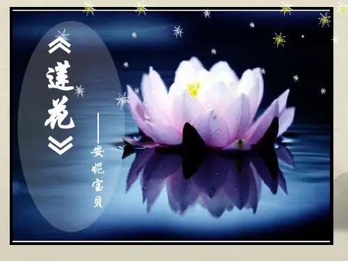安妮宝贝《莲花》读书介绍