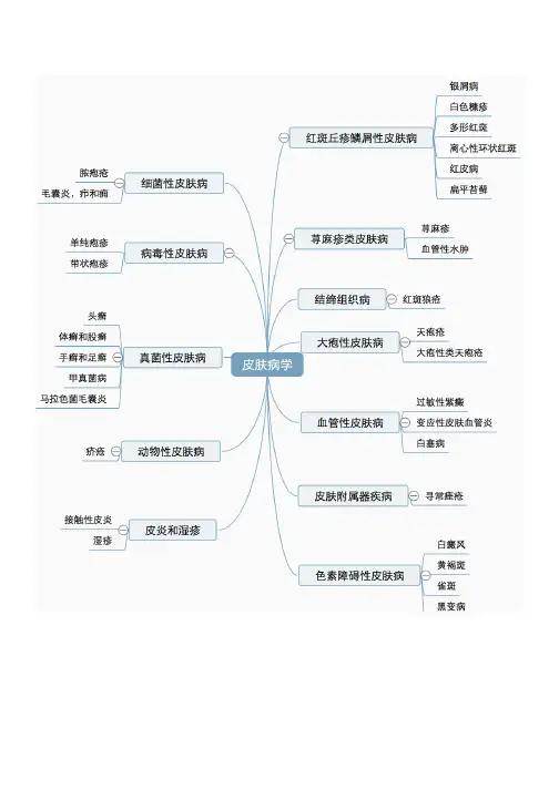 皮肤病学-课件