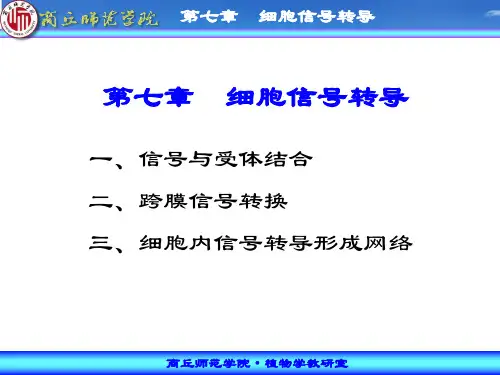 第七章 细胞信号转导