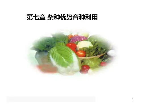 (完整版)《杂种优势育种》PPT课件