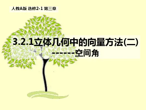 选修2-1立体几何中的向量方法(二)-空间角