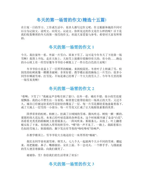 冬天的第一场雪的作文(精选十五篇)