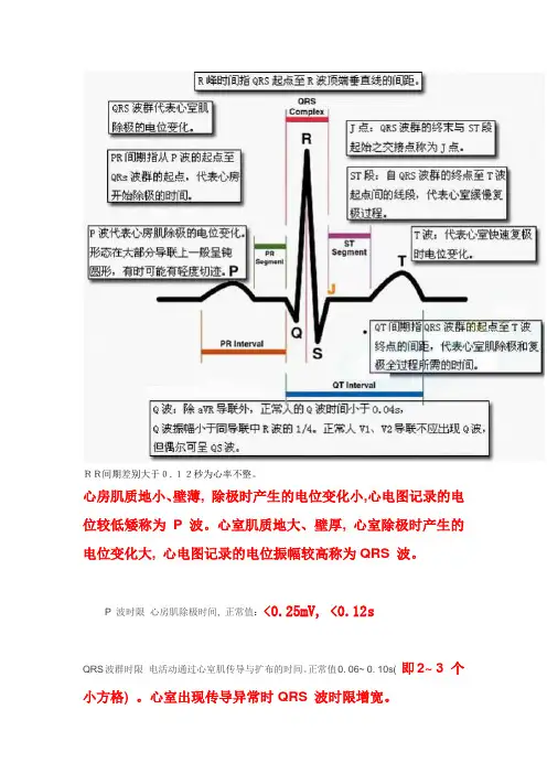 心电图正常