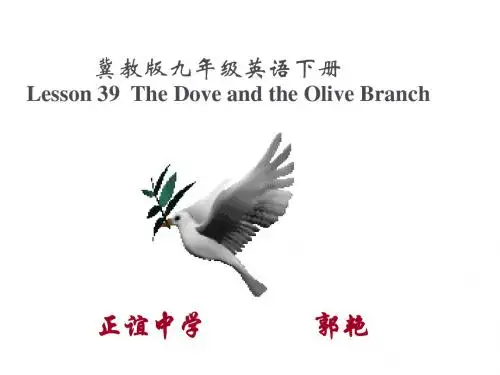 冀教版九年级英语  Unit7 Lesson 39The dove and the olive branch(共17张PPT)