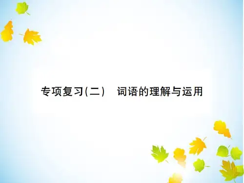 【部编】七年级下册复习:专项复习2 词语的理解与运用