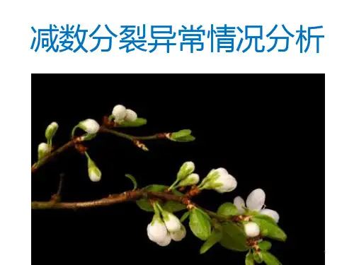 2.1.5减数分裂异常情况分析ppt课件