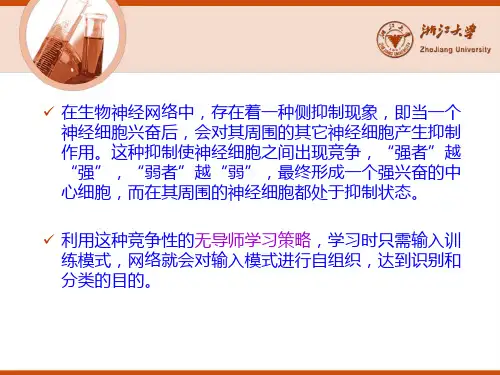 第四章 自组织竞争学习神经网络模型