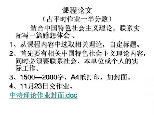 中特理论作业