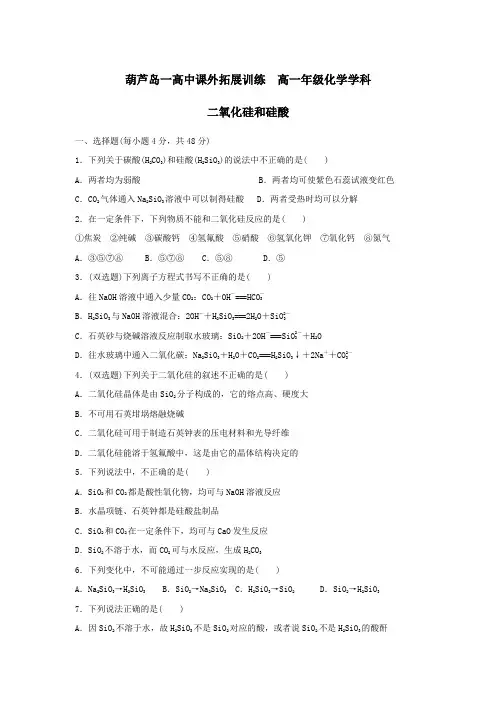 二氧化硅和硅酸 )