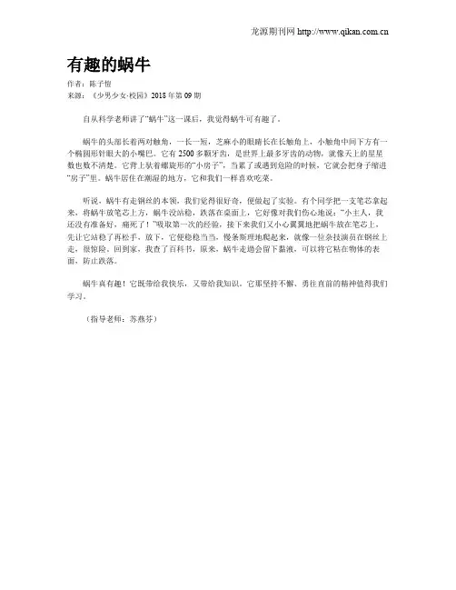 有趣的蜗牛 2