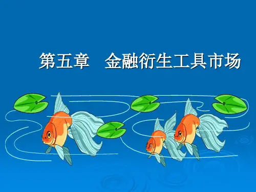第五章_金融衍生工具市场  (货币金融学 蒋先玲版 机械工业出版社)