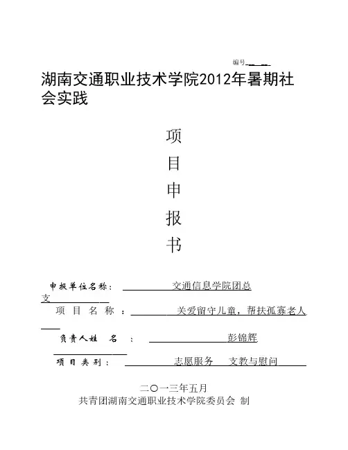 大学生暑期社会实践活动项目申报书