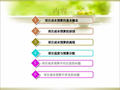 项目成本预算讲义(PPT 103页)