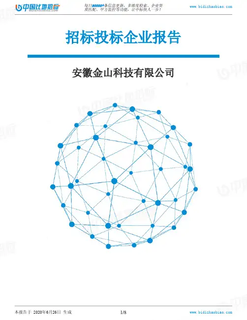 安徽金山科技有限公司-招投标数据分析报告