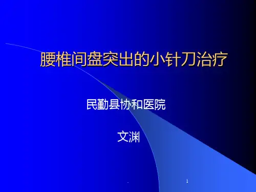 腰椎间盘突出症针刀椎间内外孔松解术PPT课件