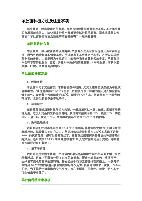 羊肚菌种植方法及注意事项