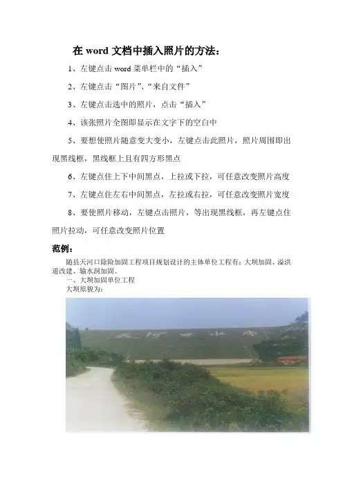 在word文档中插入照片的方法