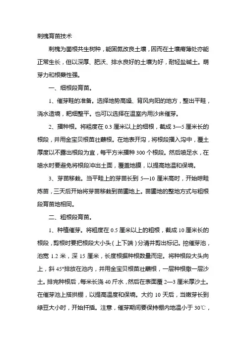 刺槐育苗技术