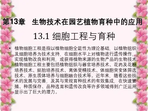 第13章生物技术应用在园艺植物育种中应用
