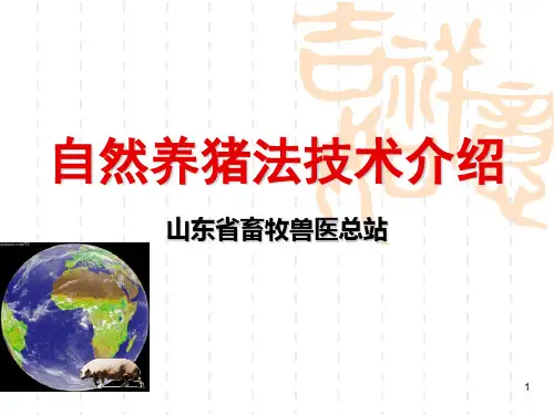 自然养猪法简介分析