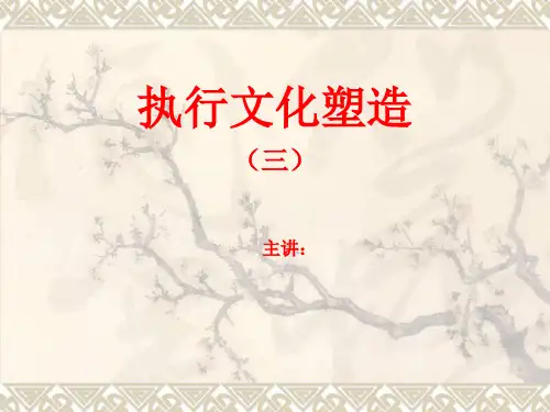 执行文化塑造