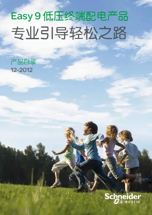 施耐德EA9AN系列开关