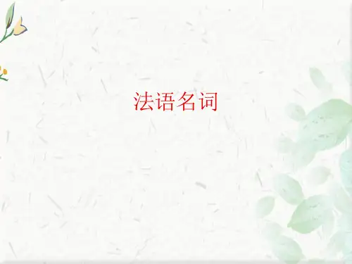 法语名词ppt (1)