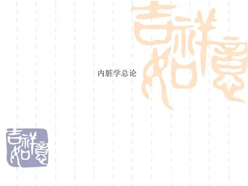 内脏学总论