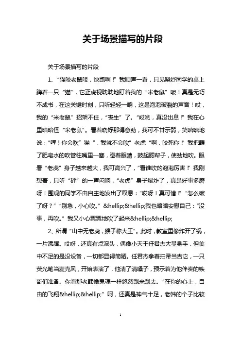 关于场景描写的片段