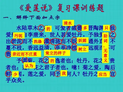 爱莲说复习课训练题