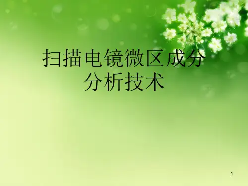 扫描电镜微区成分分析技术优秀课件