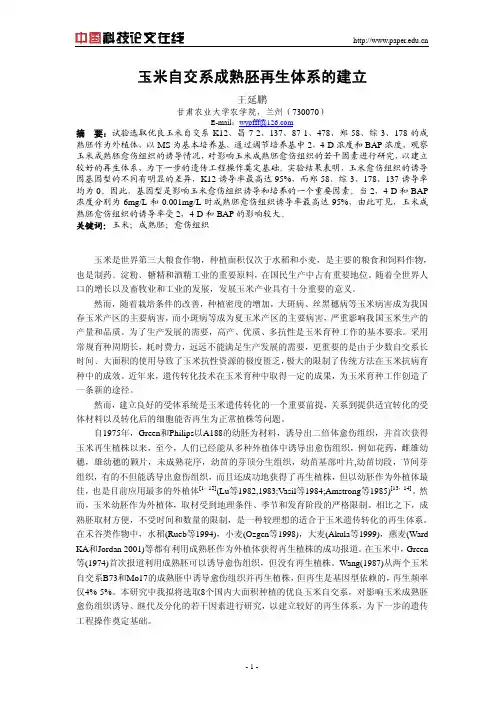 玉米成熟胚愈伤组织的诱导