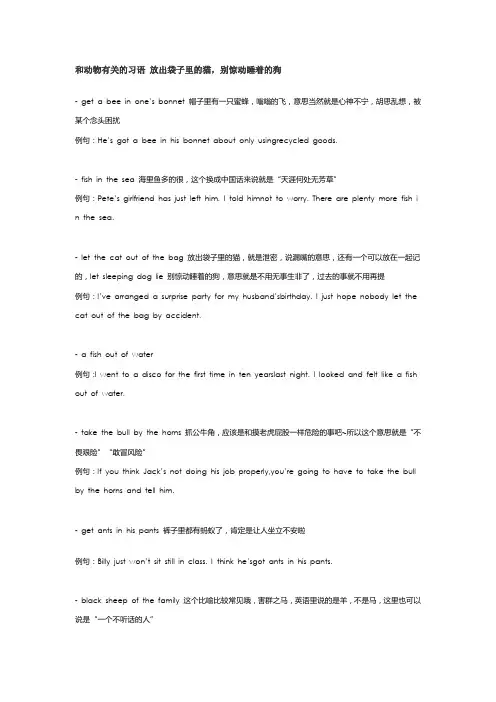 和动物有关的习语 放出袋子里的猫