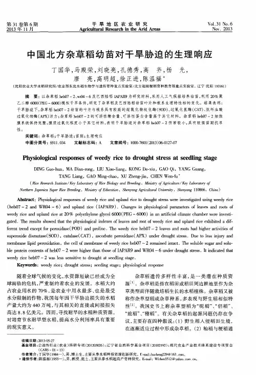 中国北方杂草稻幼苗对干旱胁迫的生理响应