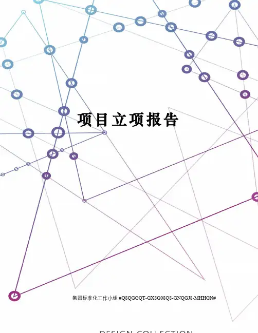 项目立项报告
