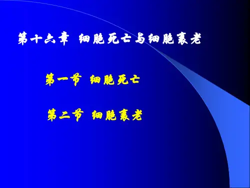 第16章细胞死亡与细胞衰老