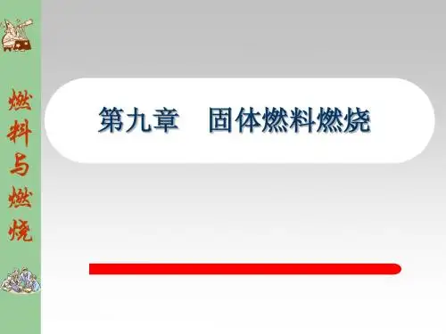 6.固体燃烧理论