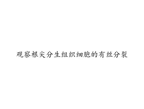观察根尖分生组织细胞的有丝分裂