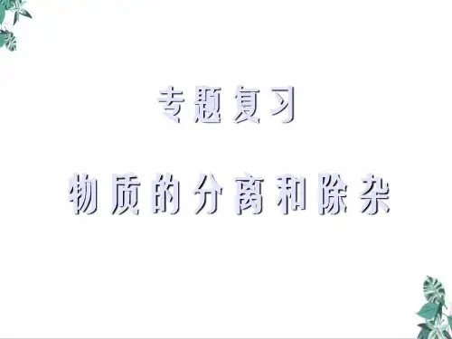 中考化学专题复习物质的分离和除杂专题复习(17张)