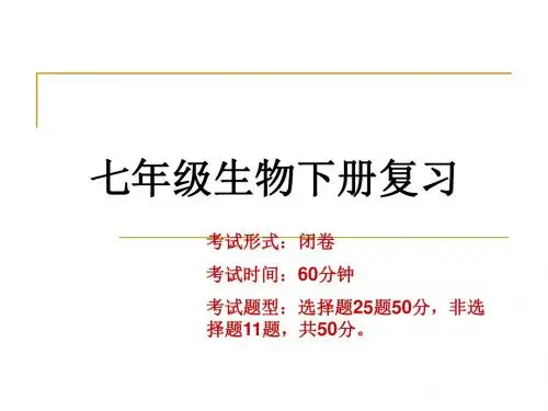 生物七年级下期中复习-PPT精品文档