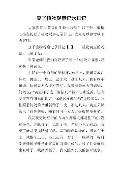豆子植物观察记录日记