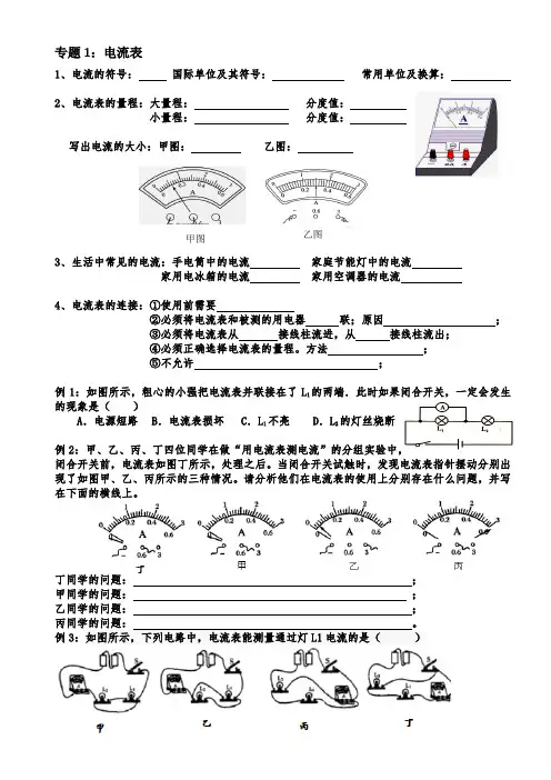 电流表、电路图实物图互画